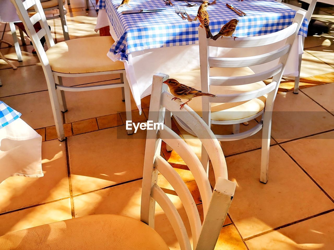 HIGH ANGLE VIEW OF EMPTY CHAIRS AND TABLES