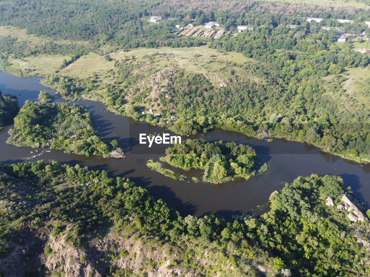 HIGH ANGLE VIEW OF TREES BY PLANTS