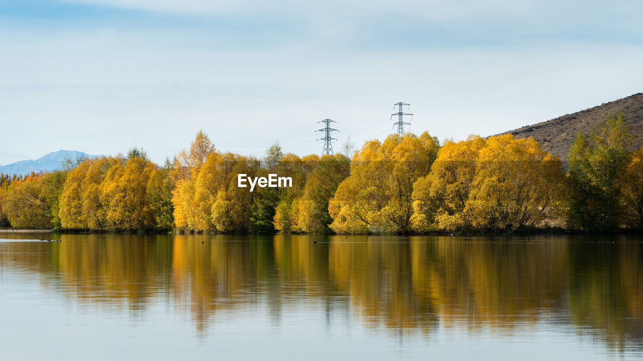 TREES BY LAKE AGAINST SKY DURING AUTUMN