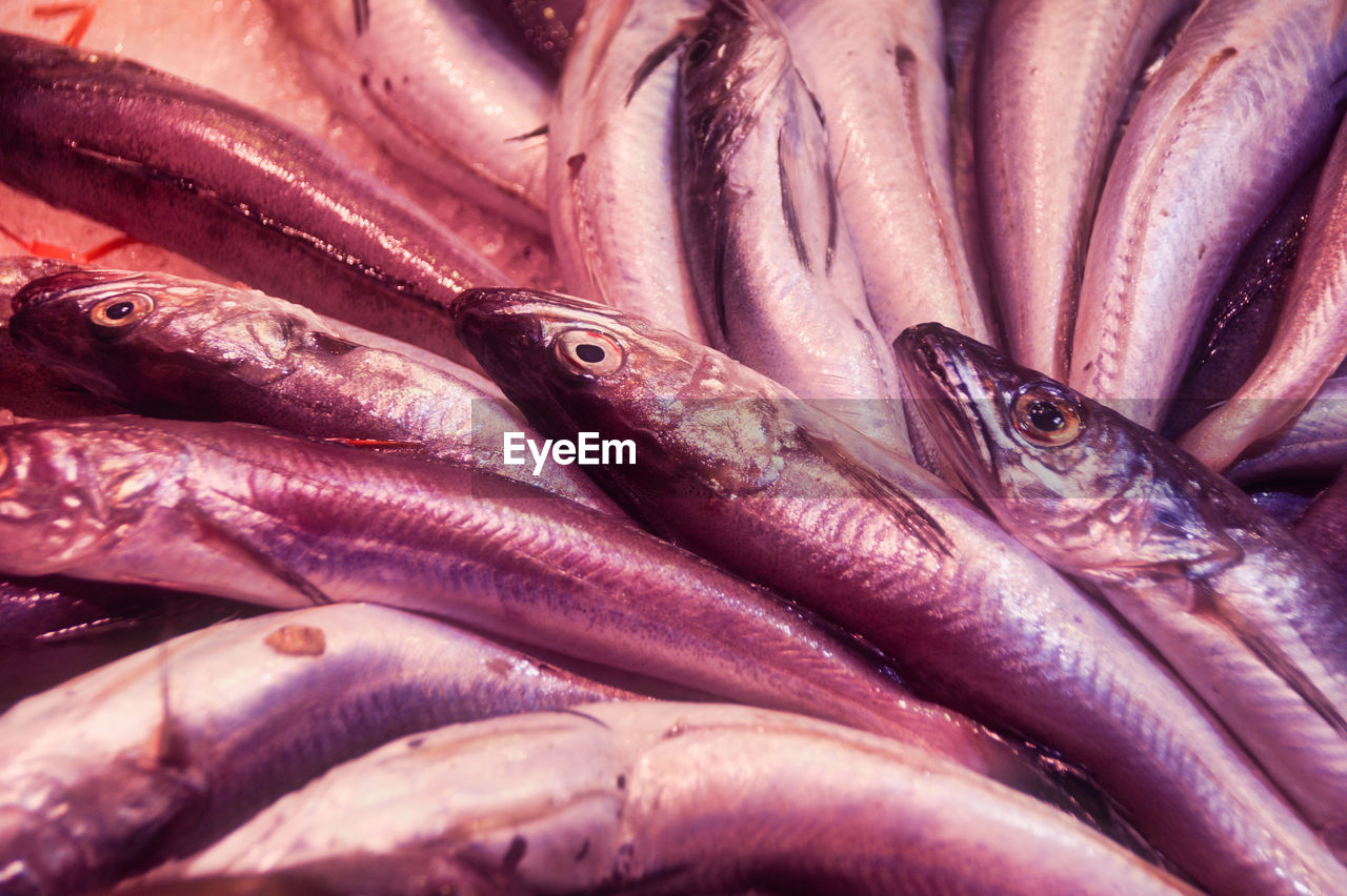 Full frame shot of fish for sale in market