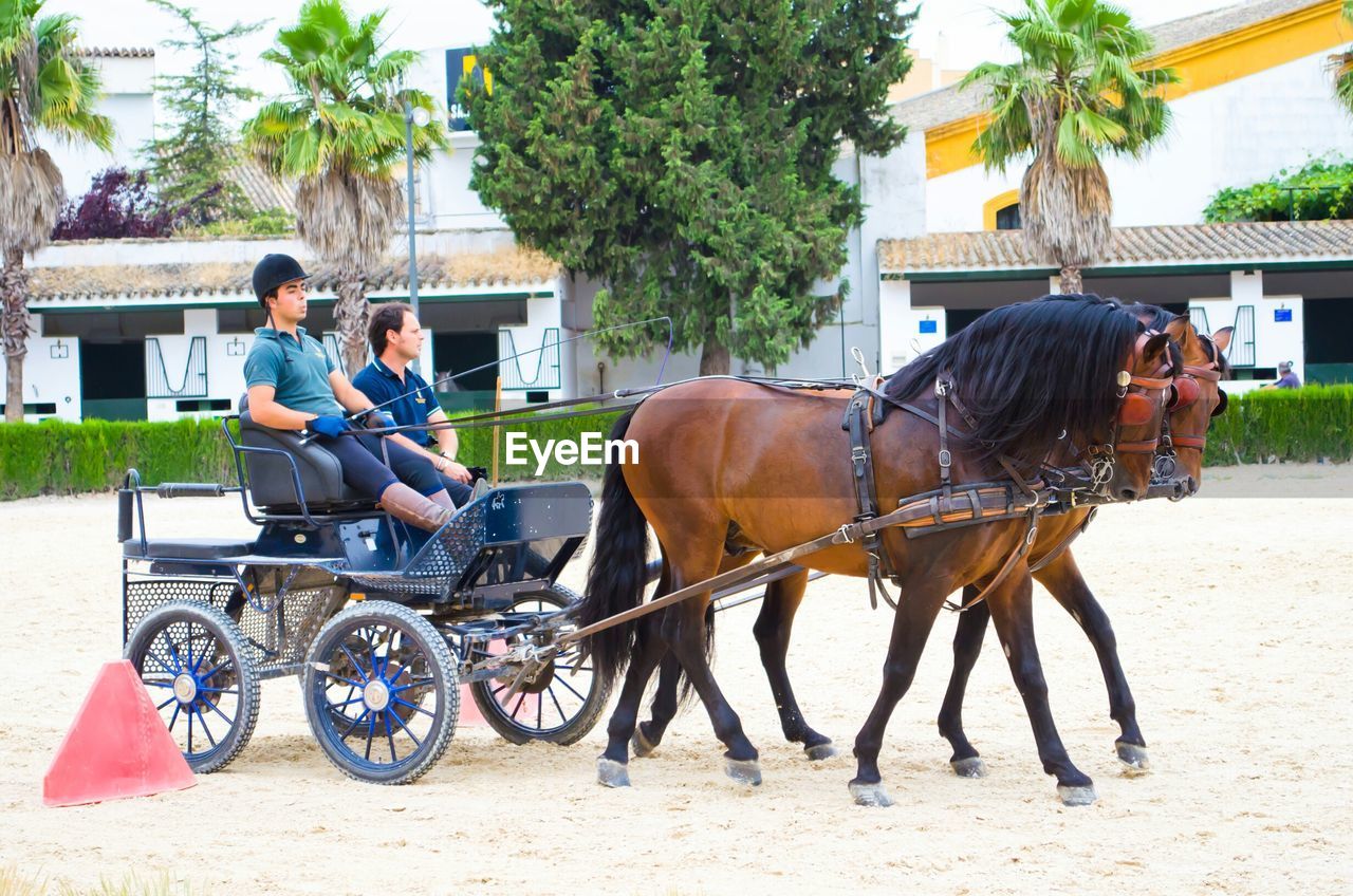 HORSE CART ON THE LAND