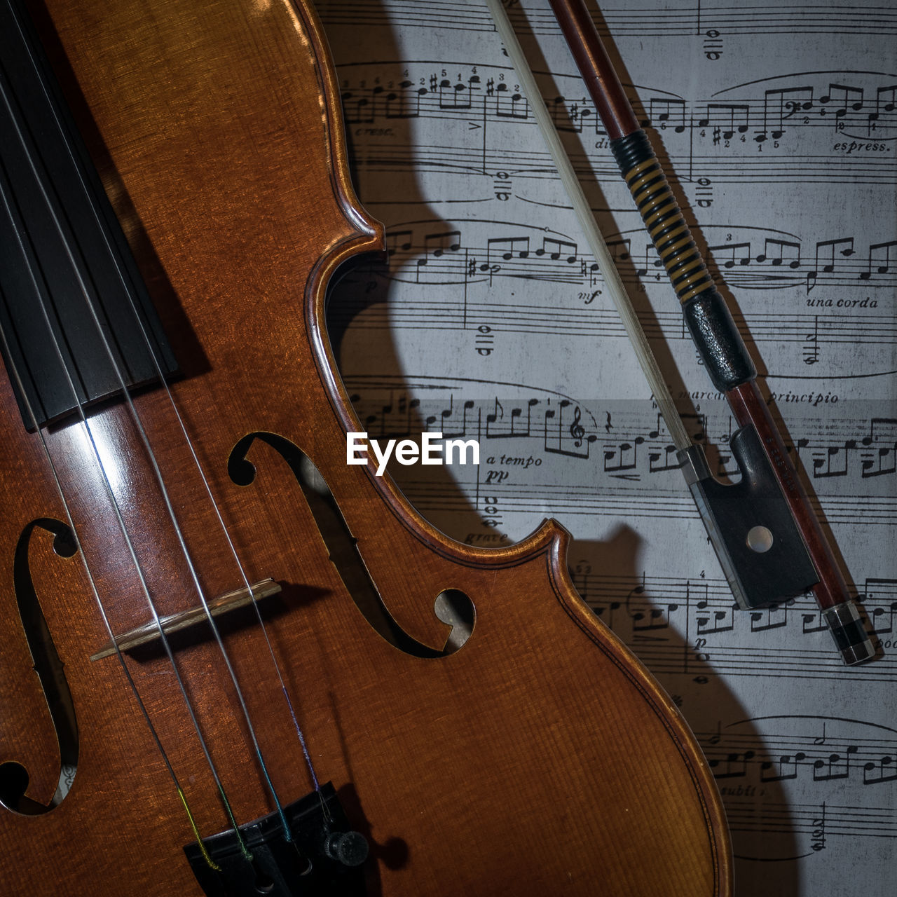 High angle view of violin and music notes