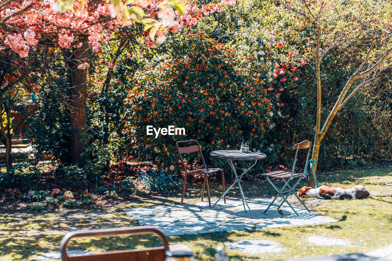 Empty chairs and table in park during autumn