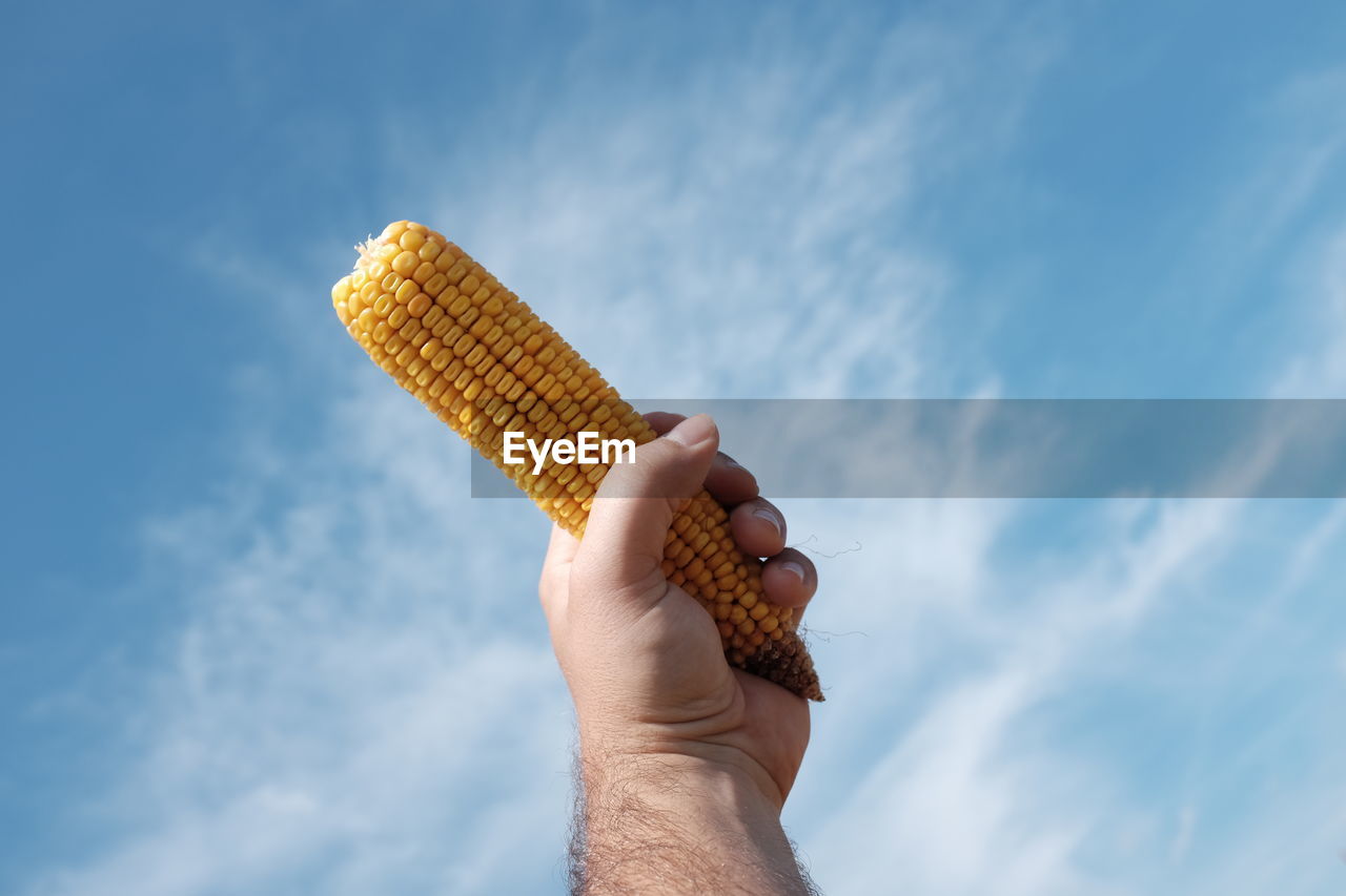 Woman holding hands against clear sky