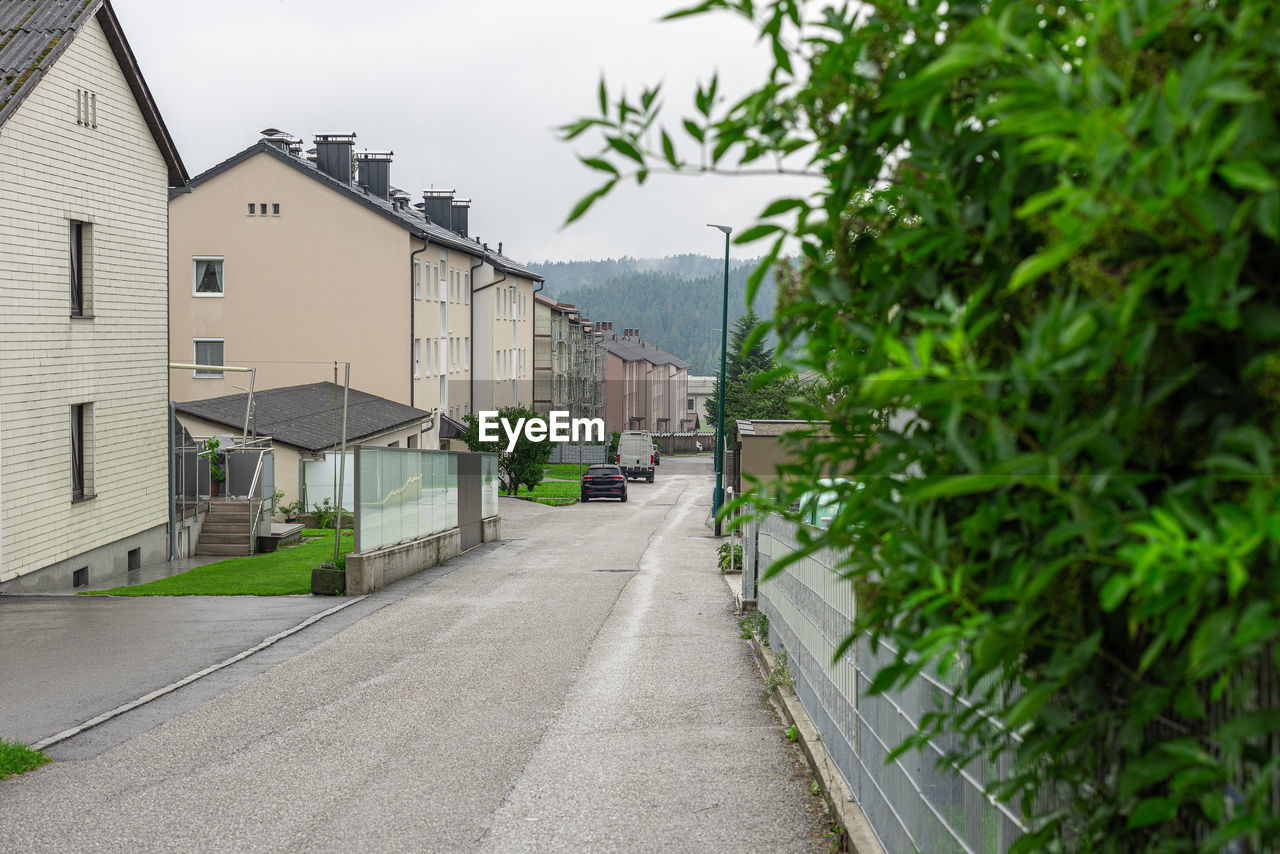 footpath amidst plants
