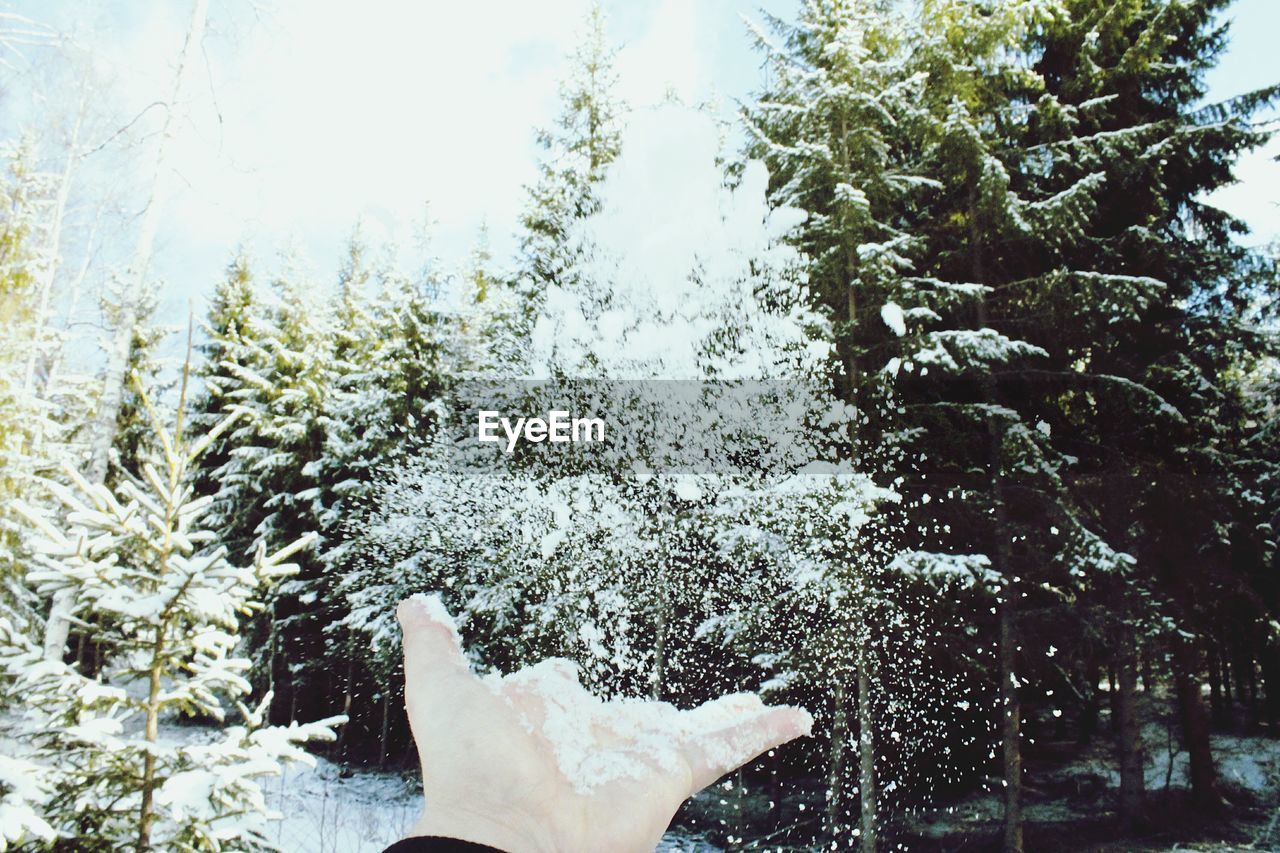 Cropped image of hand throwing snow