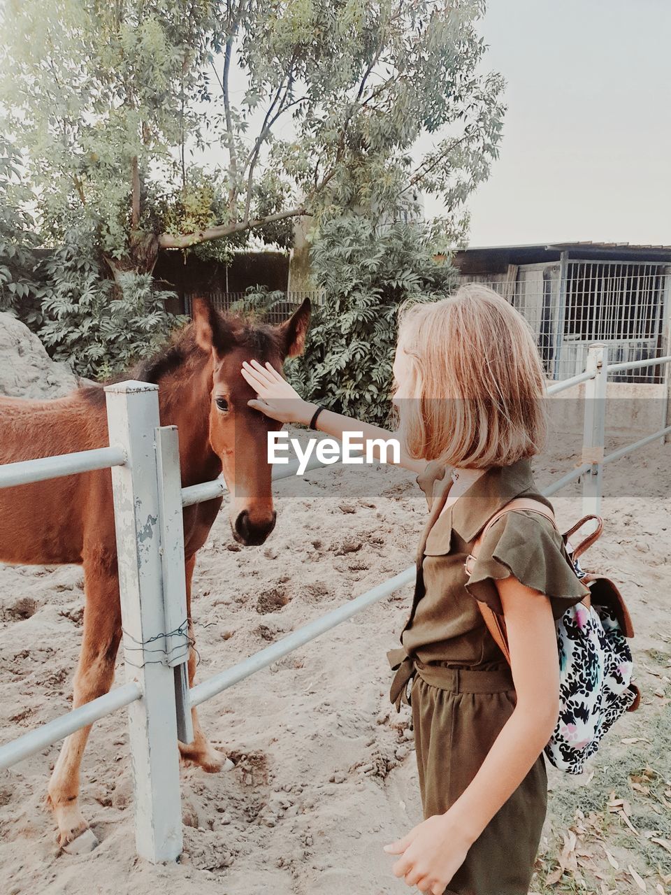 Side view of young woman with horse on field