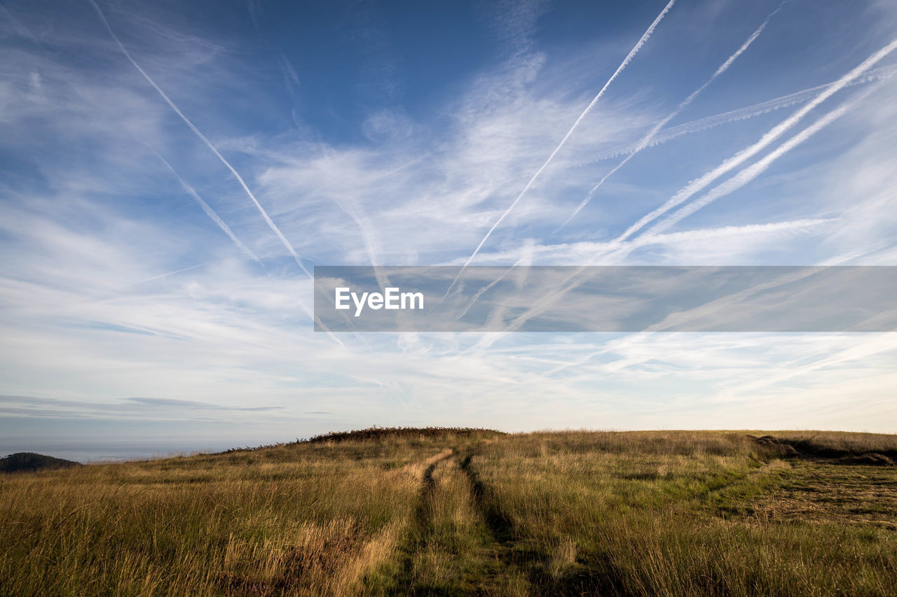 Scenic view of field against sky