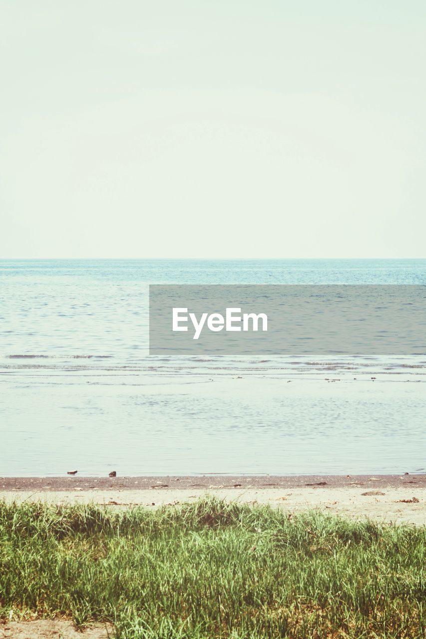 TRANQUIL VIEW OF BEACH AGAINST CLEAR SKY