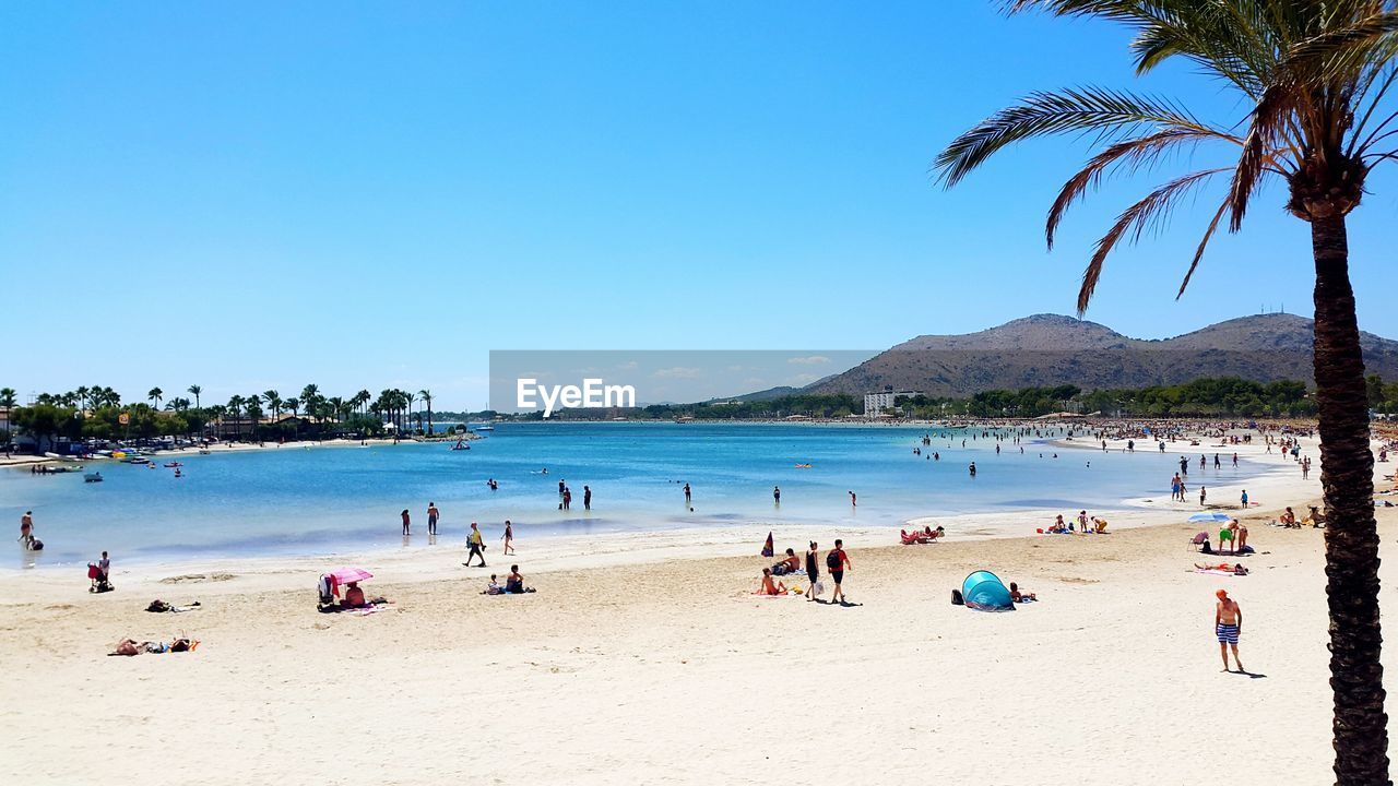 People on beach against clear blue sky