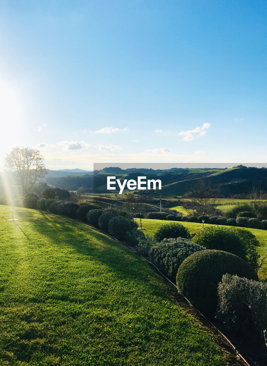 Scenic view of landscape against sky