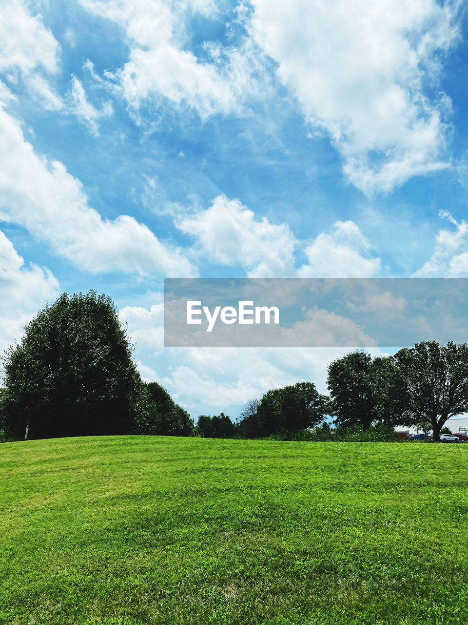 SCENIC VIEW OF TREES GROWING ON FIELD AGAINST SKY