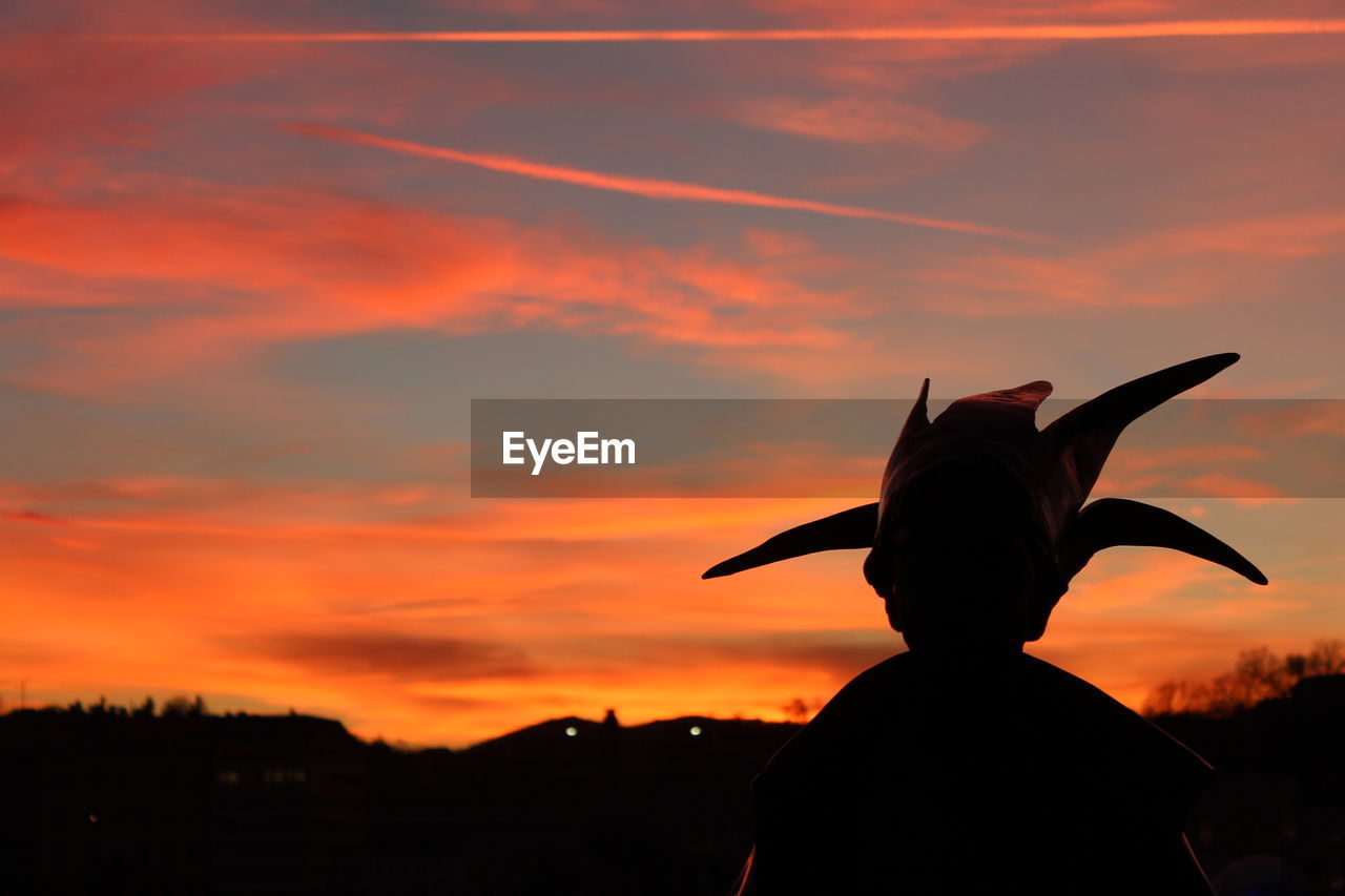 SILHOUETTE OF HORSE ON LANDSCAPE AGAINST SKY