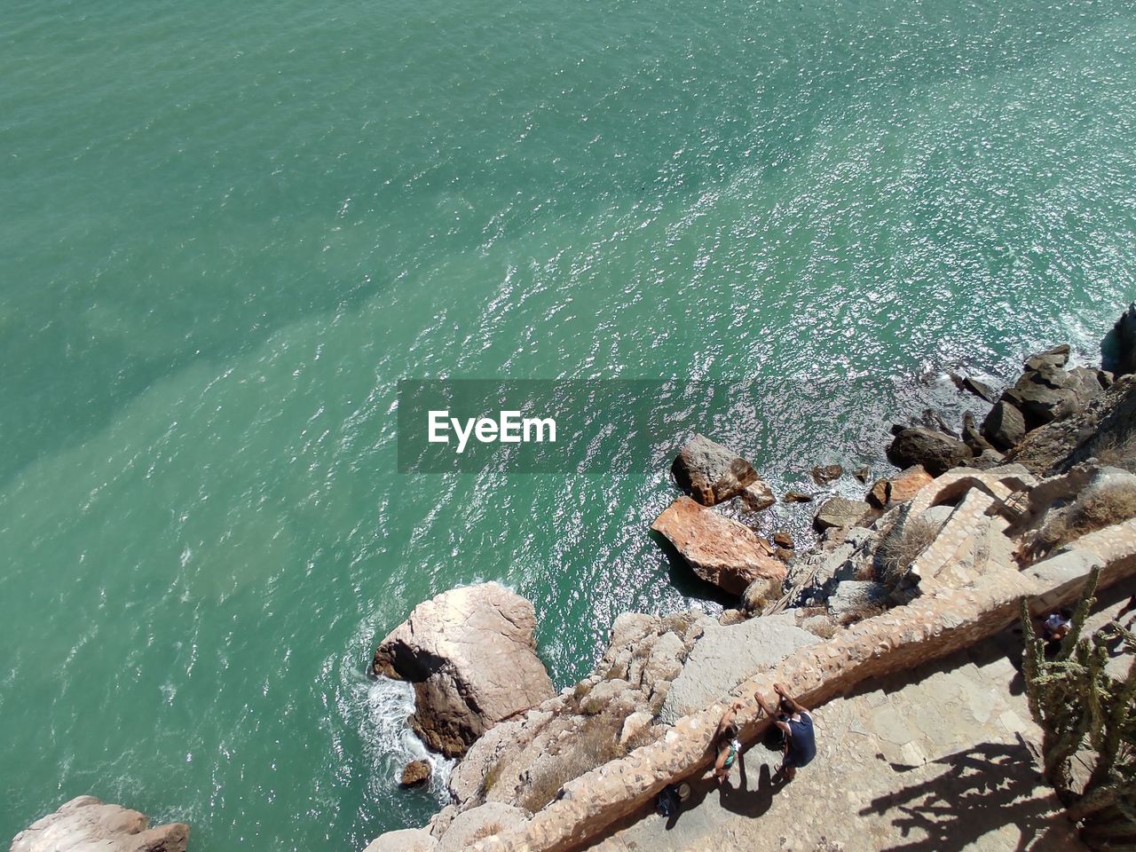HIGH ANGLE VIEW OF DRIFTWOOD IN SEA