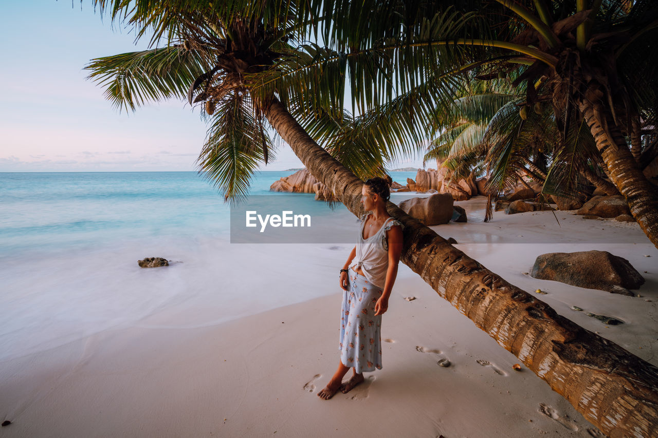 Woman standing by palm tree at beach