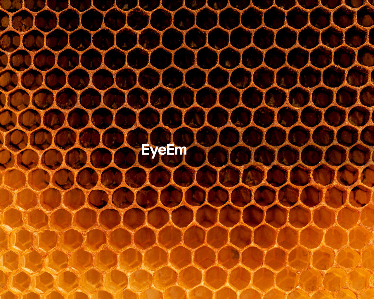 Full frame shot of beehive