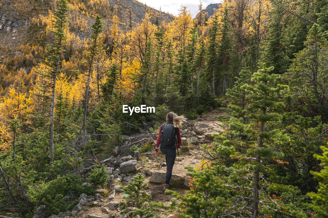 Female hiker walking up to paradise valley