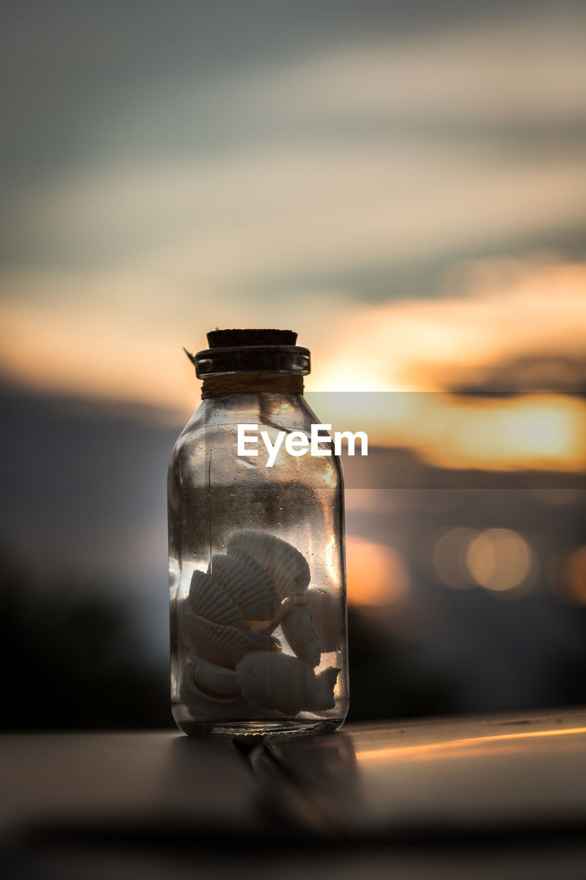 Close-up of sea shells in a bottle