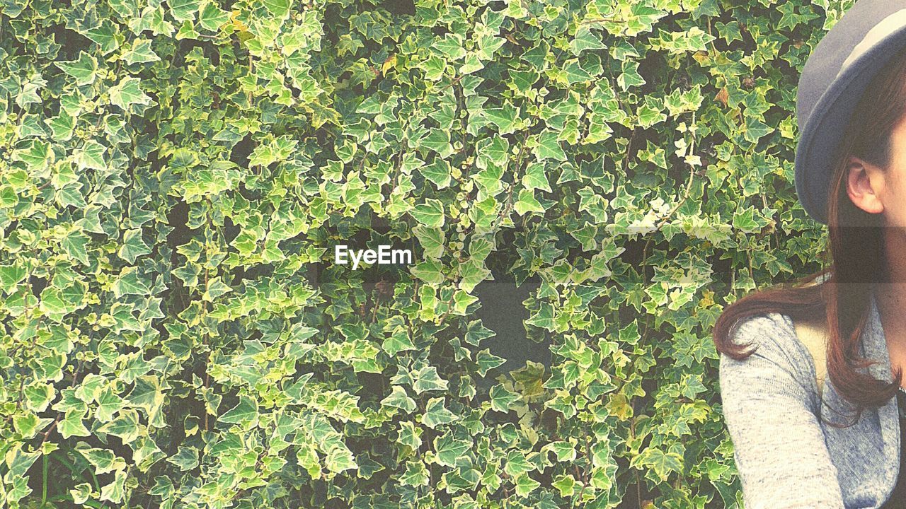 Cropped image of woman against ivy covered wall in park