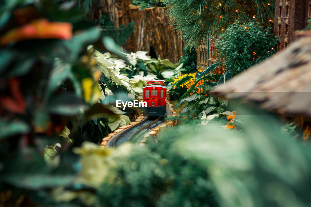 Small red model train in a horticultural holiday display