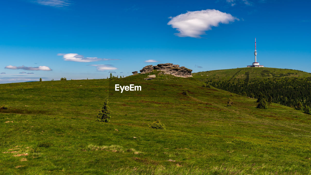SCENIC VIEW OF GRASSY LANDSCAPE AGAINST SKY