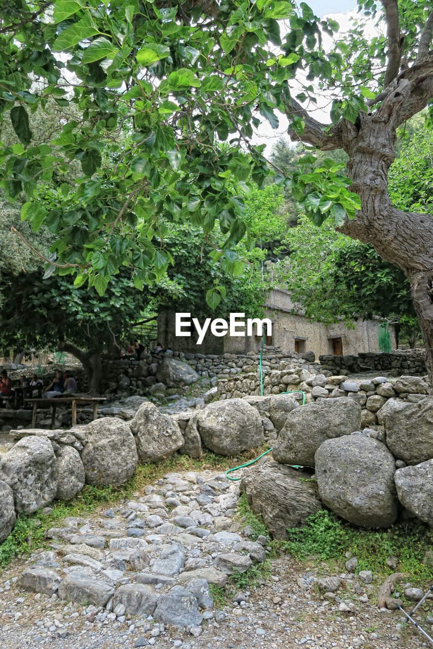 STONE WALL BY GARDEN
