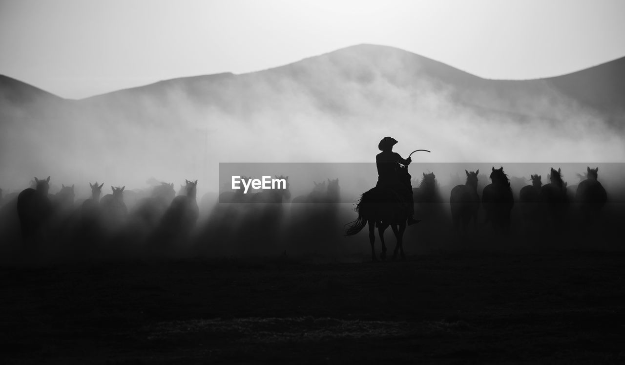 Silhouette man horseback riding on field against sky