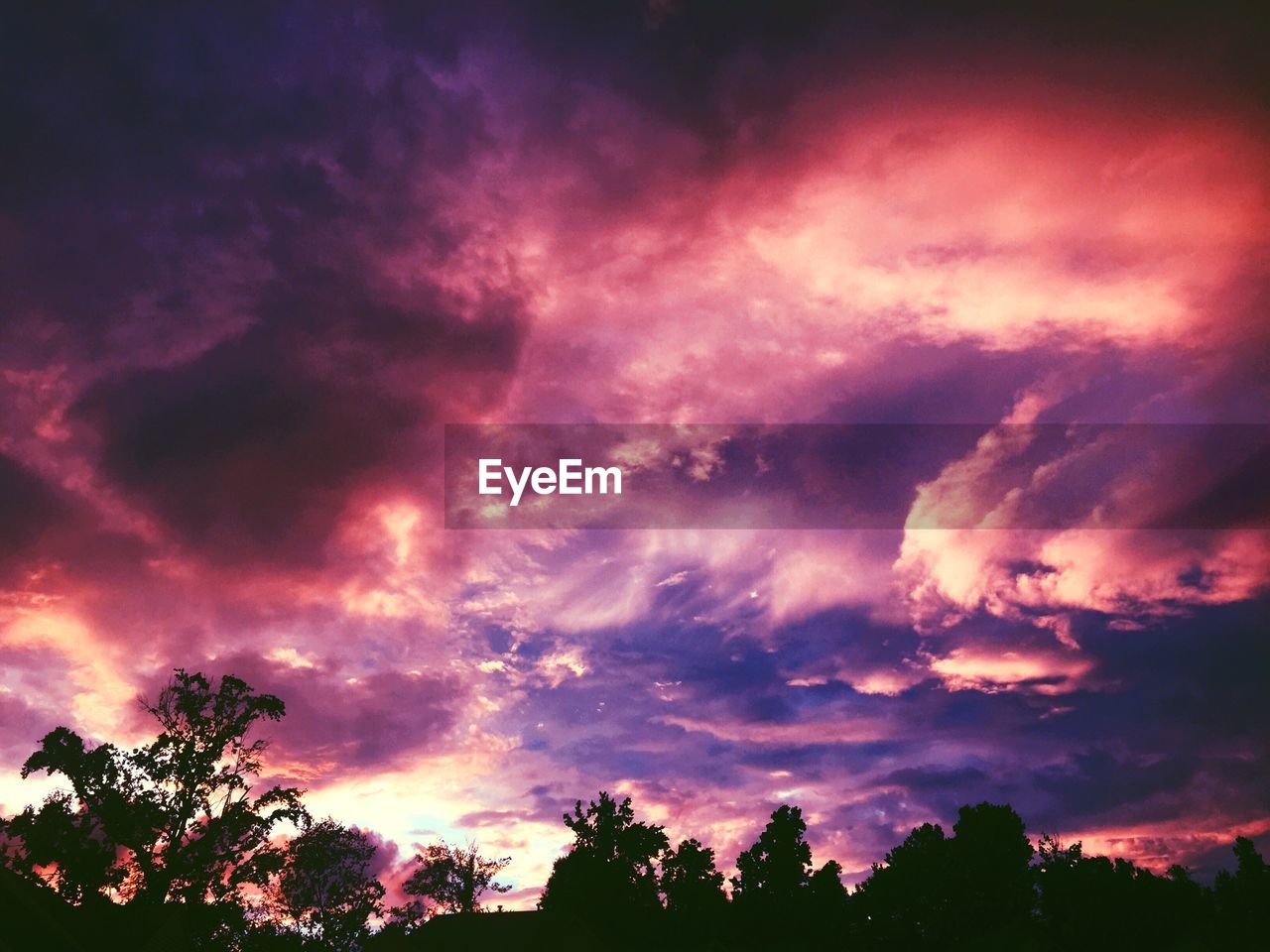 Low angle view of silhouette trees against cloudy sky during dusk