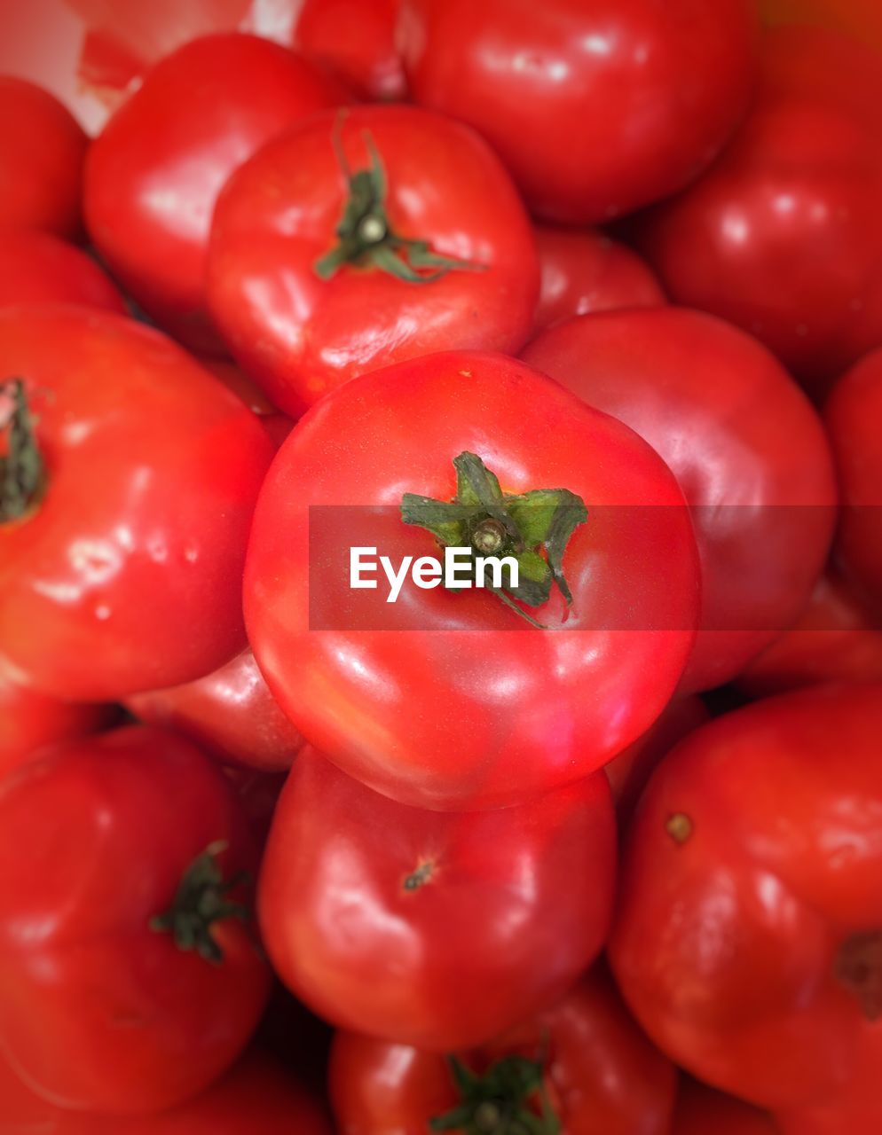 FULL FRAME SHOT OF TOMATOES