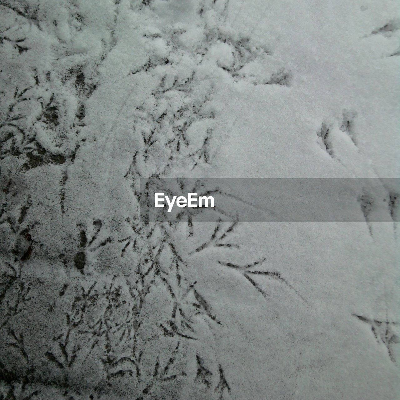 HIGH ANGLE VIEW OF FOOTPRINT ON SNOW