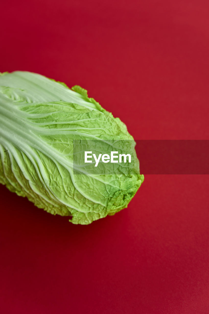 Close-up of cabbage against red background