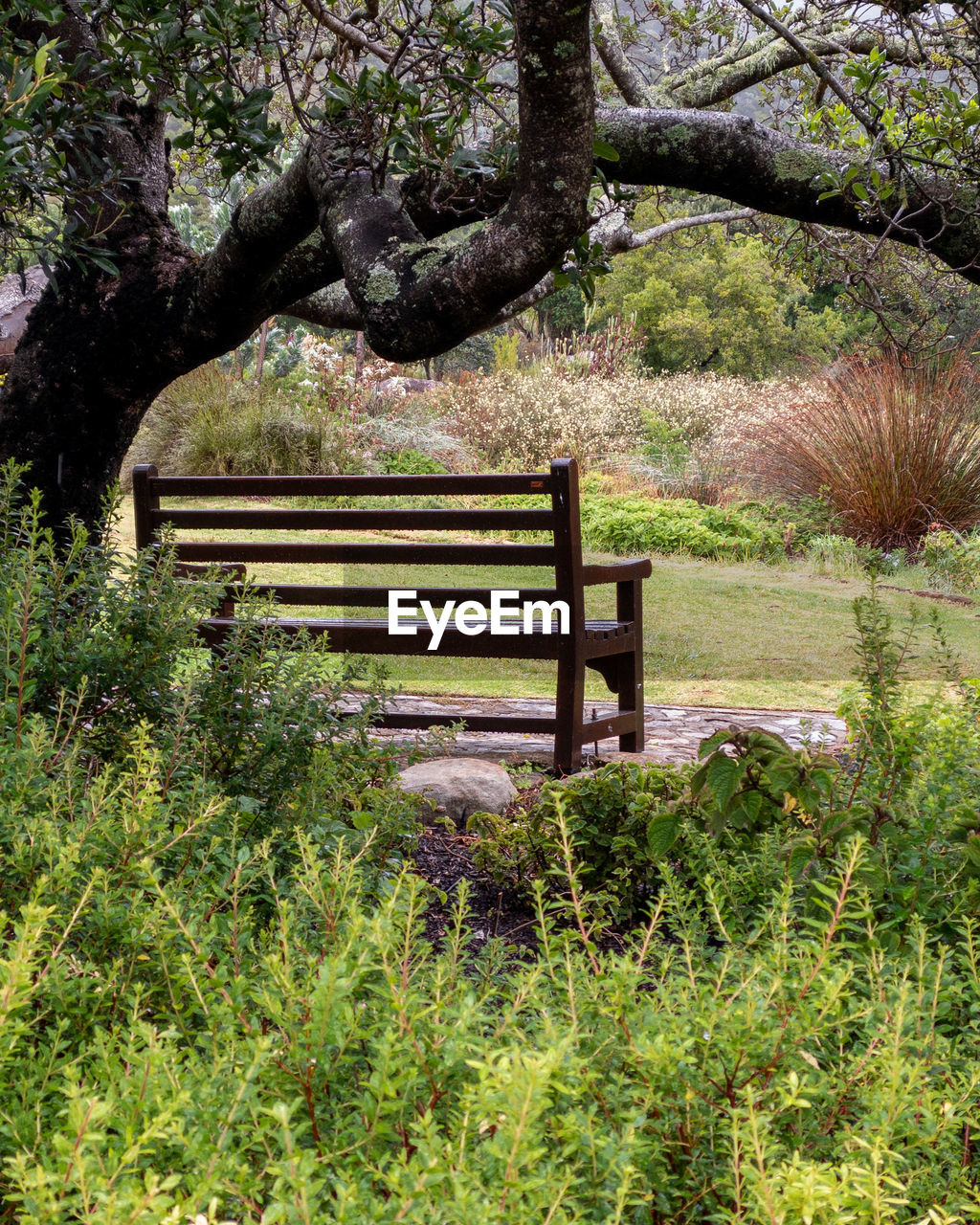 Empty bench in park