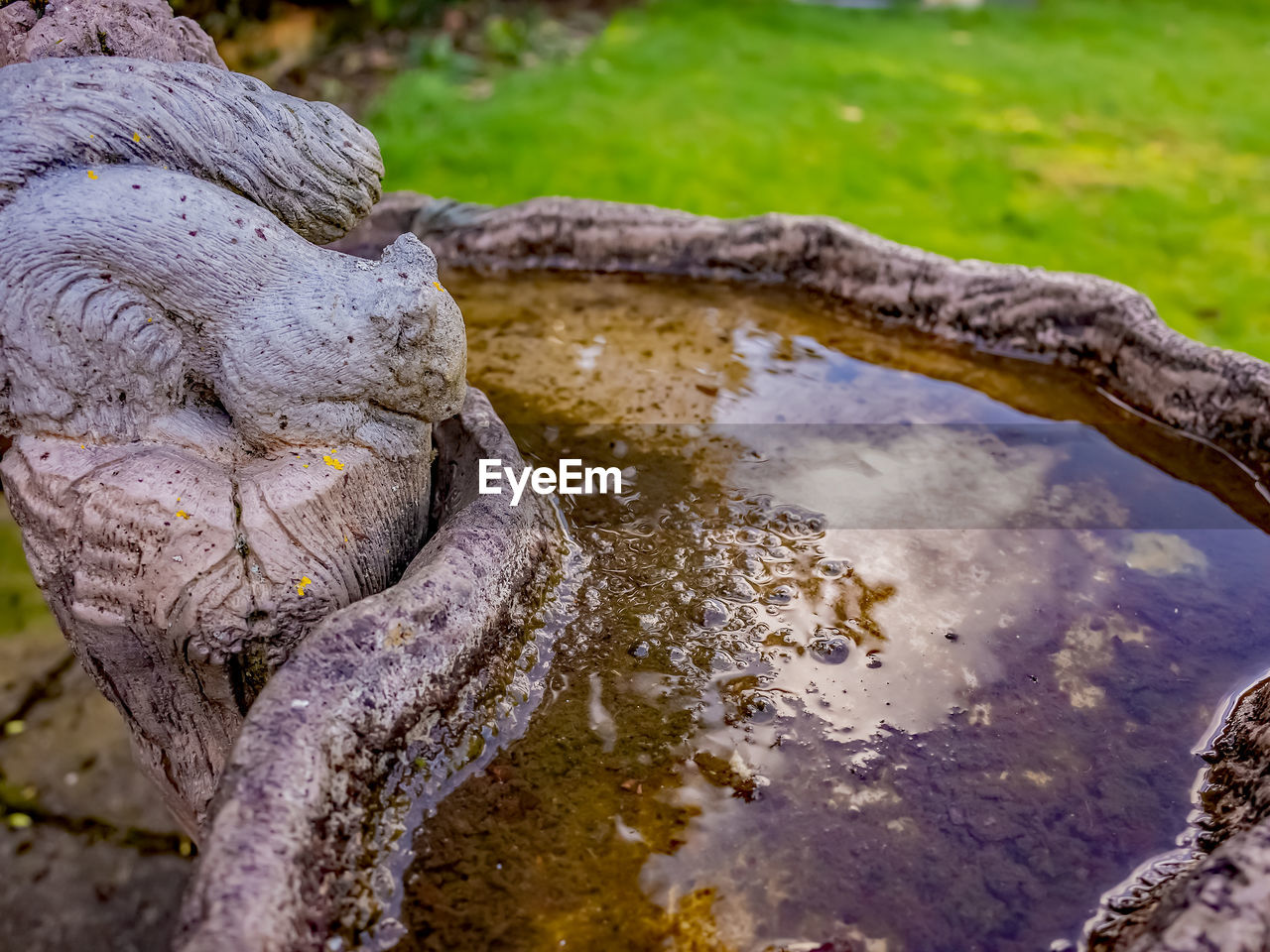 CLOSE-UP OF DRIFTWOOD ON ROCKS