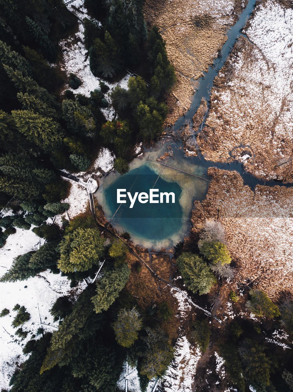 High angle view of trees by alpine lake