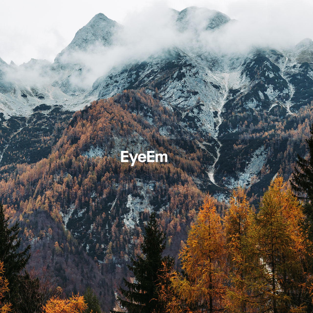 SCENIC VIEW OF SNOW COVERED MOUNTAINS