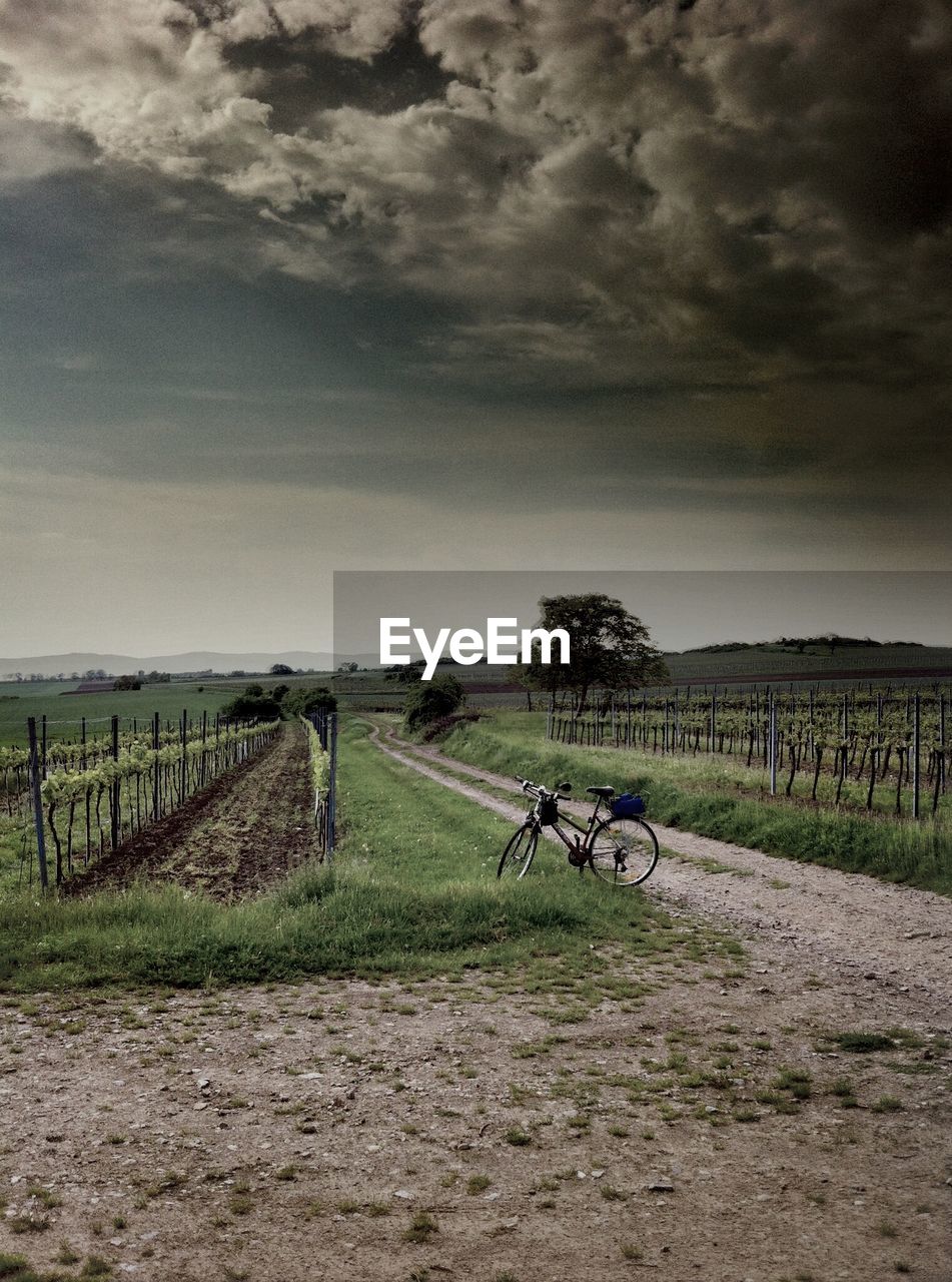 Scenic view of field against cloudy sky