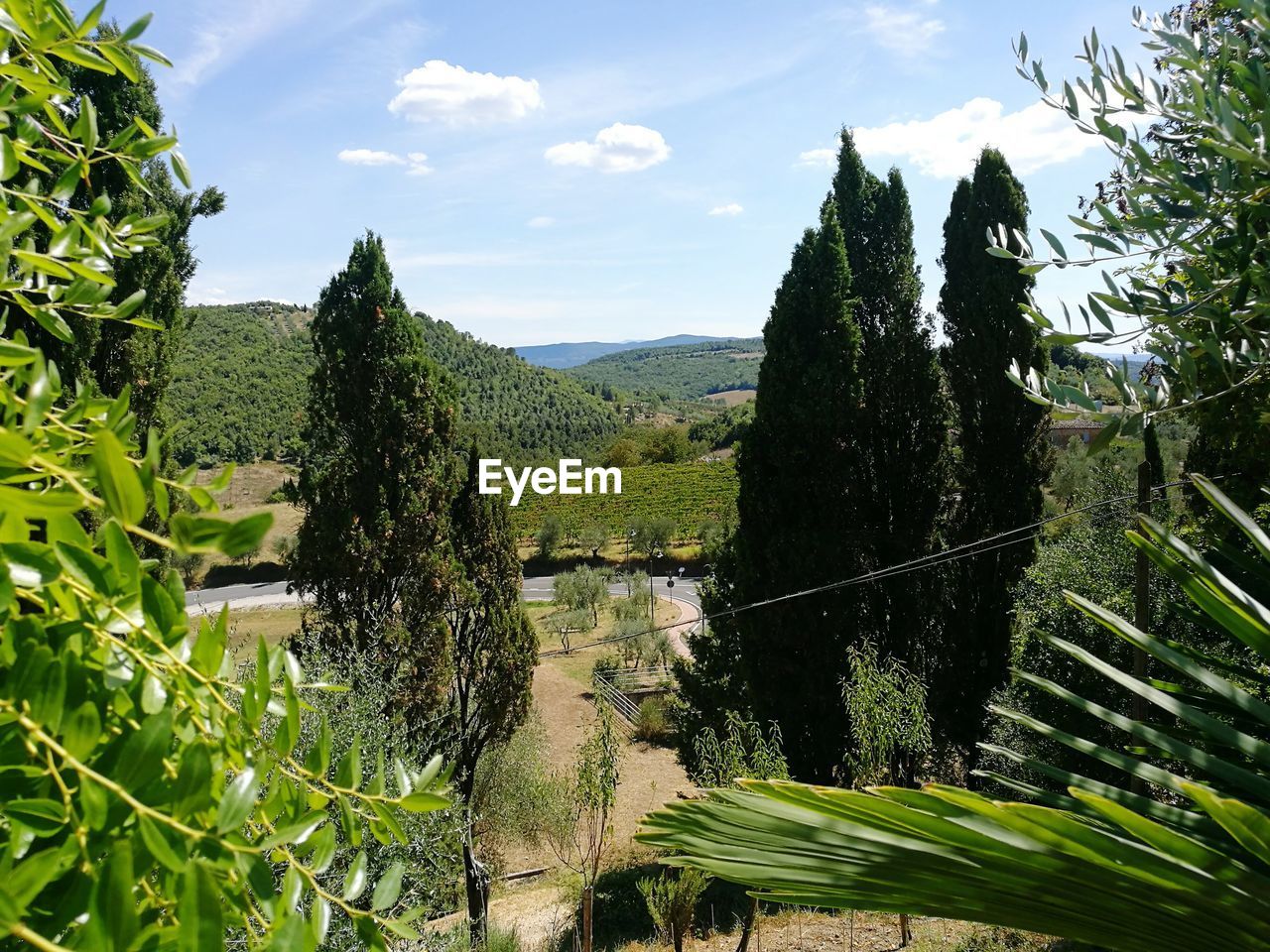 SCENIC VIEW OF LANDSCAPE WITH MOUNTAIN IN BACKGROUND