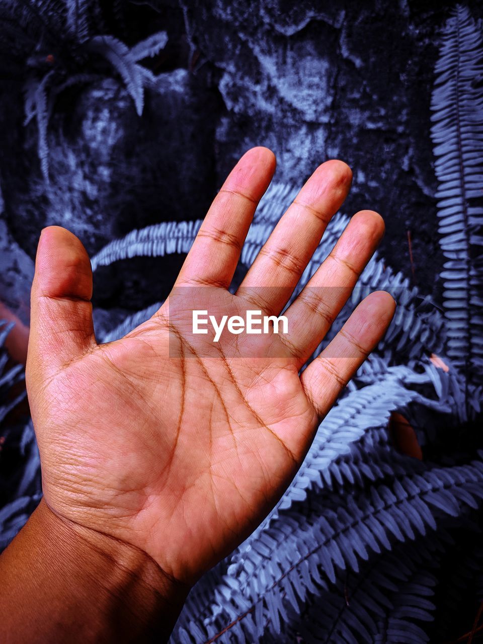 High angle view of human hand