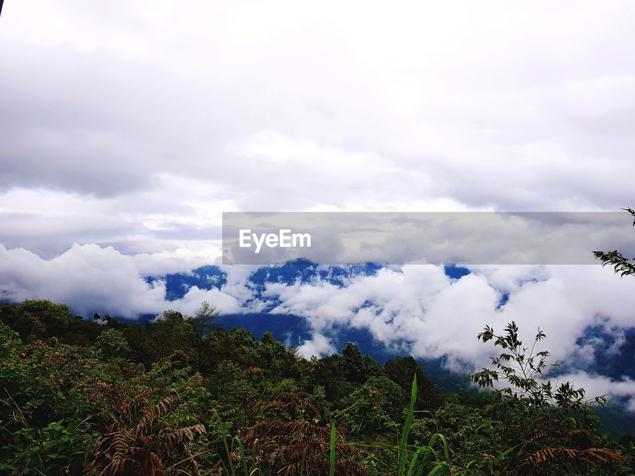 LOW ANGLE VIEW OF CLOUDS OVER LANDSCAPE