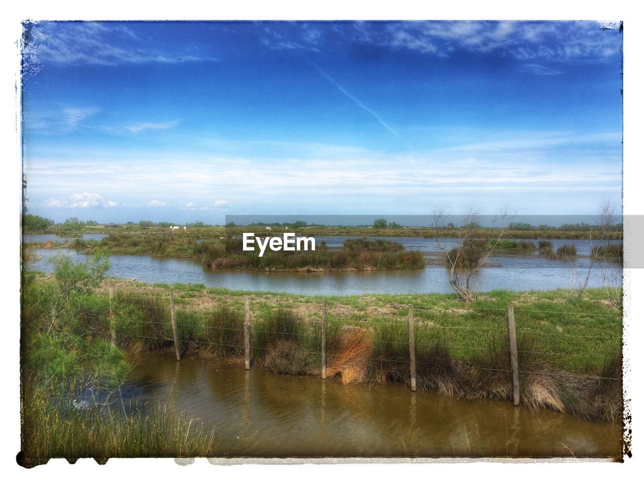 SCENIC VIEW OF AGRICULTURAL FIELD AGAINST BLUE SKY