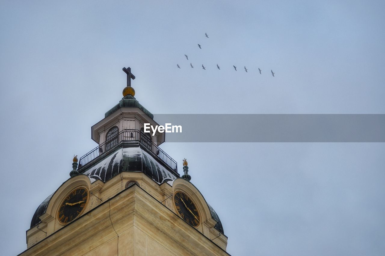 Low angle view of birds flying against sky