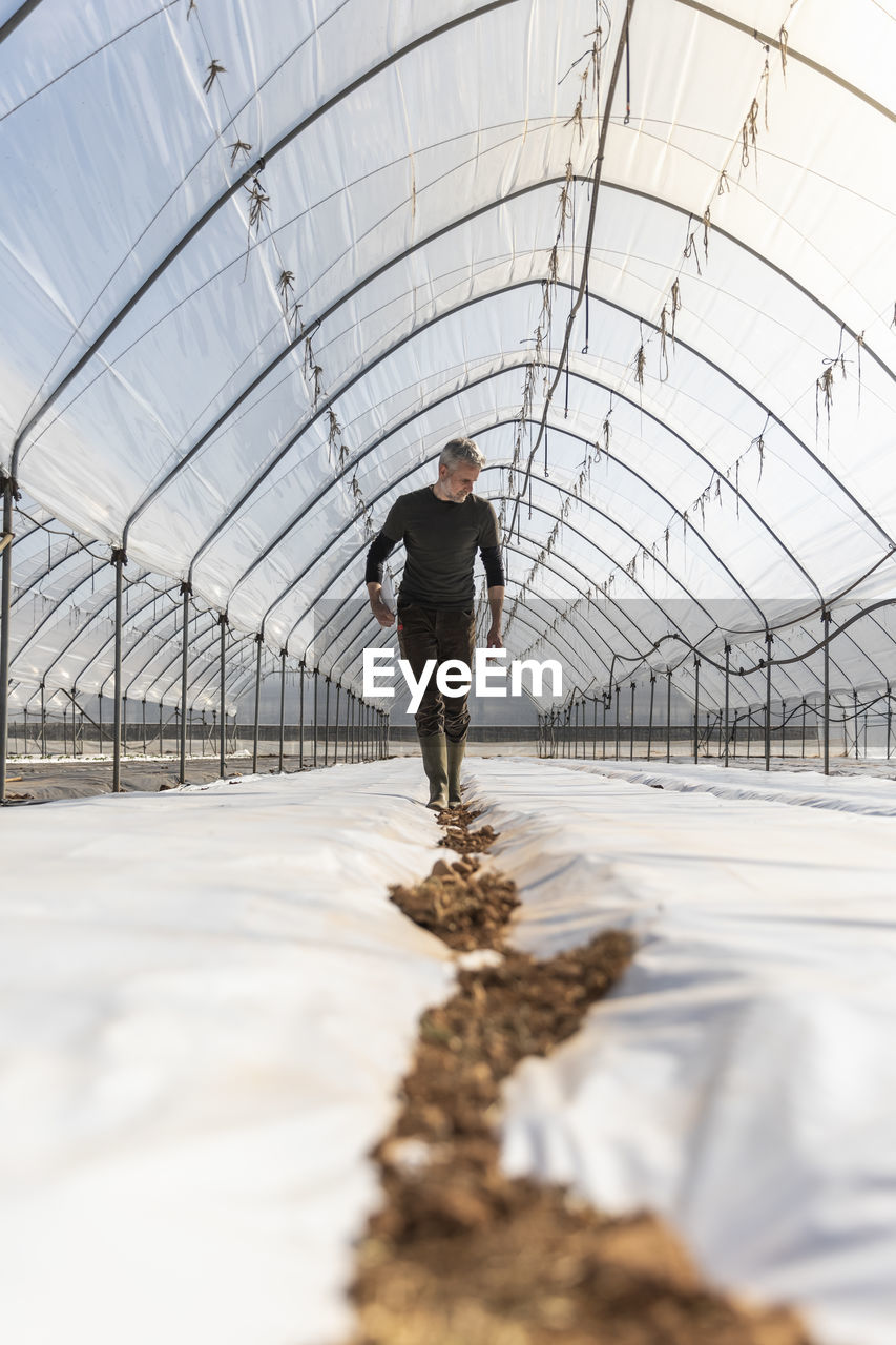 Farmer looking at field for planting in greenhouse