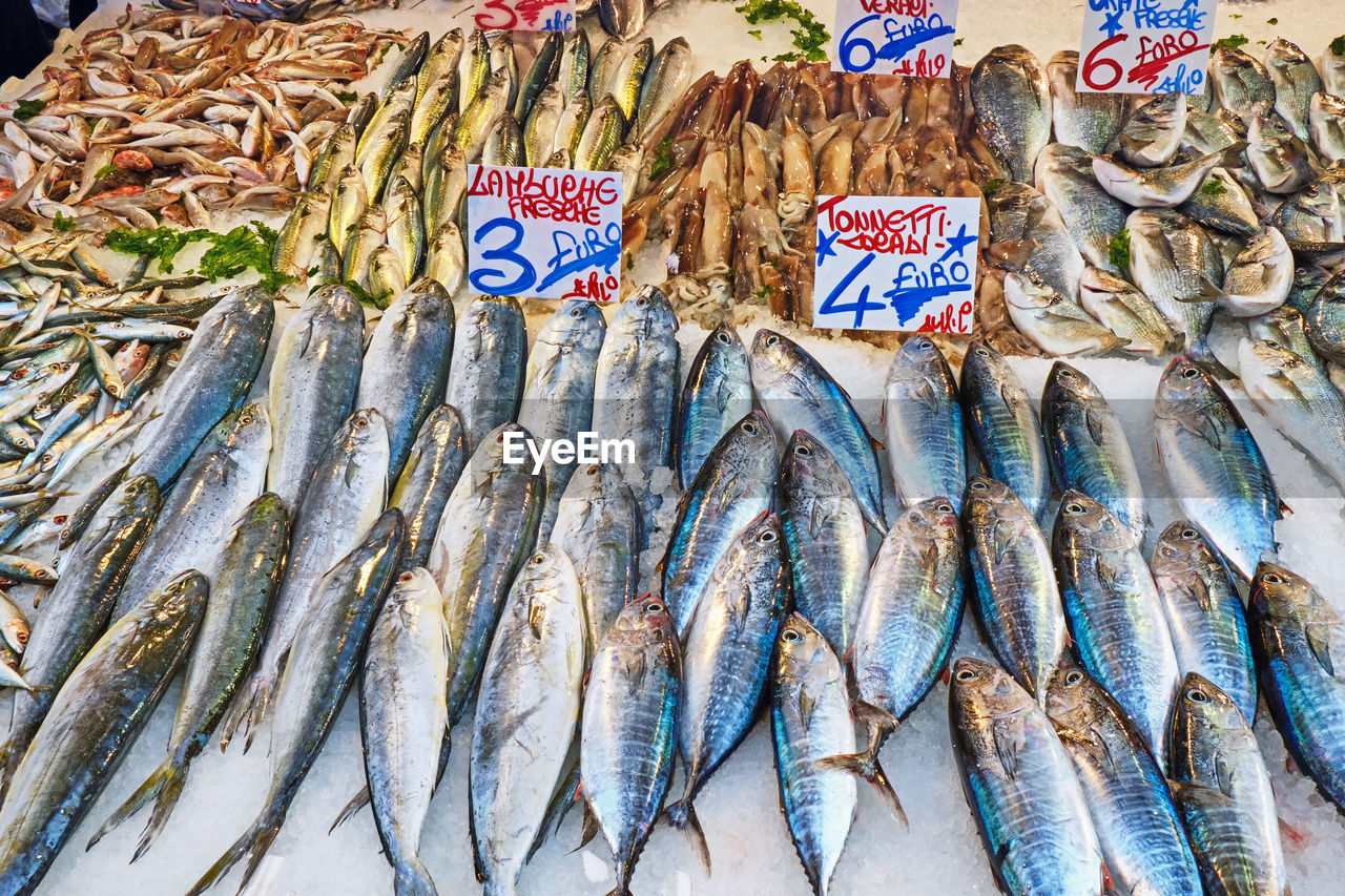 Tuna and other fish for sale at a market