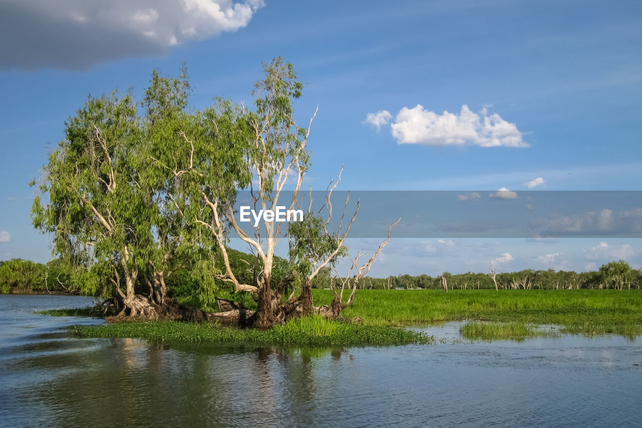 Scenic view of river against sky