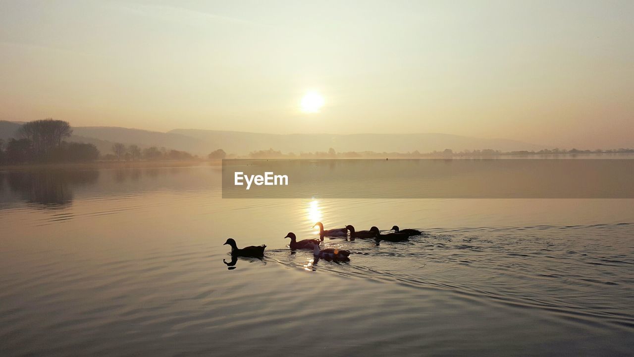 Scenic view of lake at sunset