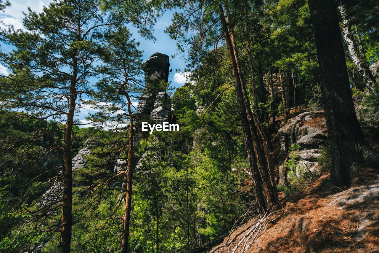 Rock with climber silhouette in famous bastei rock formation. national park saxon switzerland, 