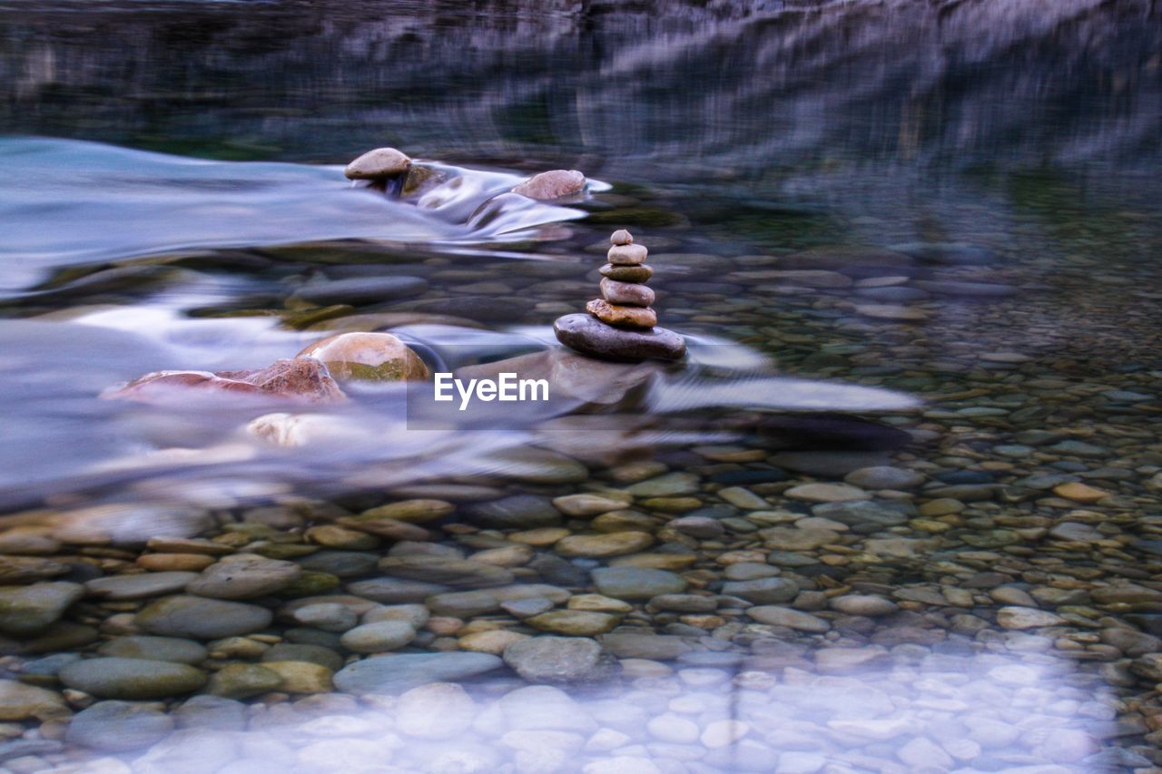 Ducks on rock in lake