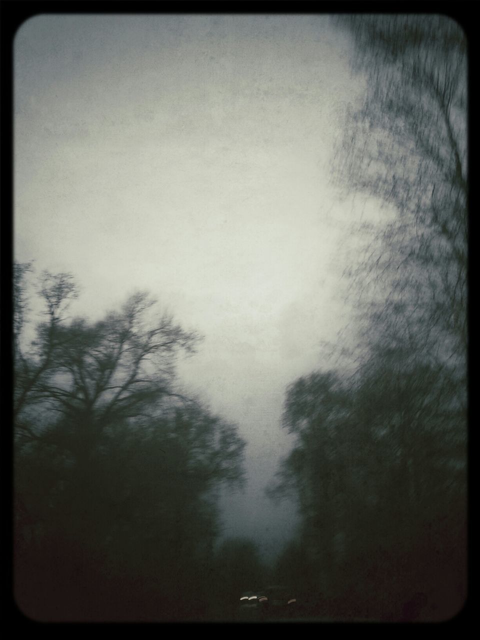 Low angle view of silhouette trees against sky at dusk