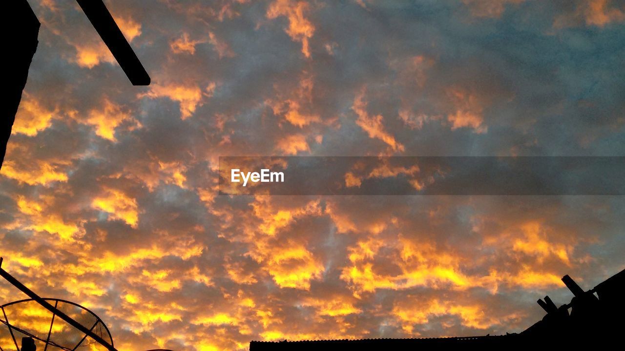 LOW ANGLE VIEW OF SILHOUETTE ORANGE SKY