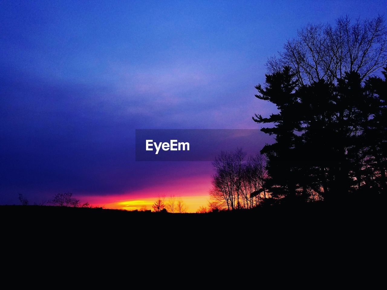 SCENIC VIEW OF SILHOUETTE TREES AGAINST SKY AT NIGHT